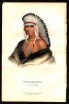 M-H Pawnee Brave.jpg (72678 bytes)